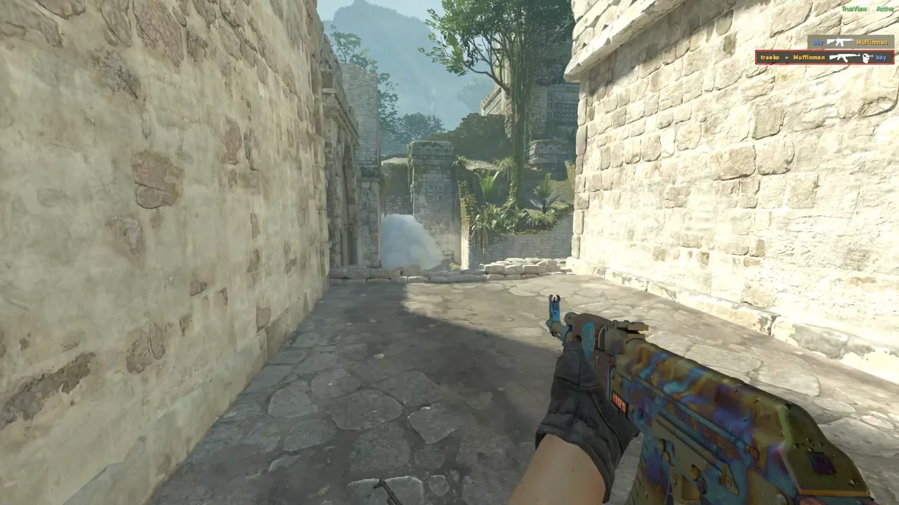 highlight